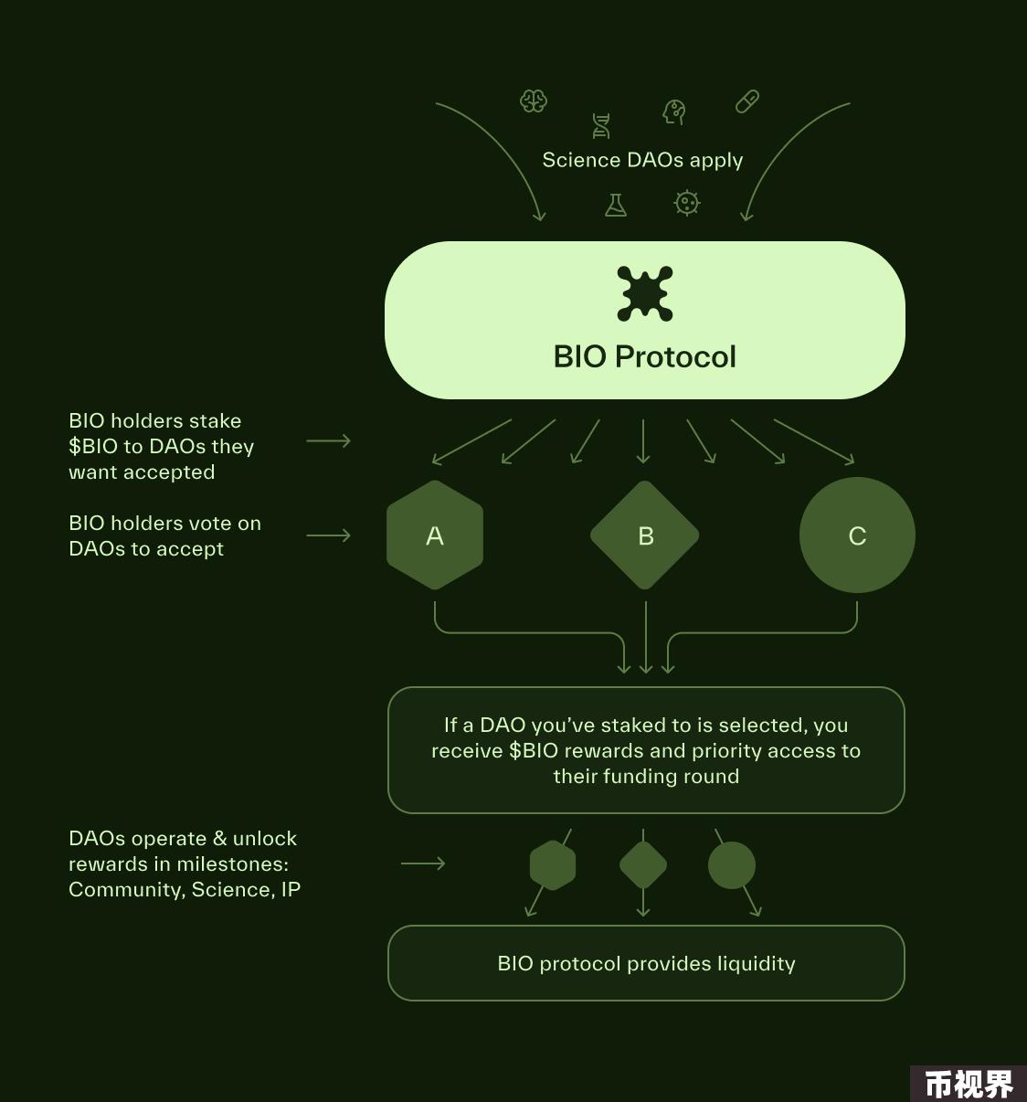 探究链上科学孵化器BIO Protocol为何能获得Binance Labs青睐？