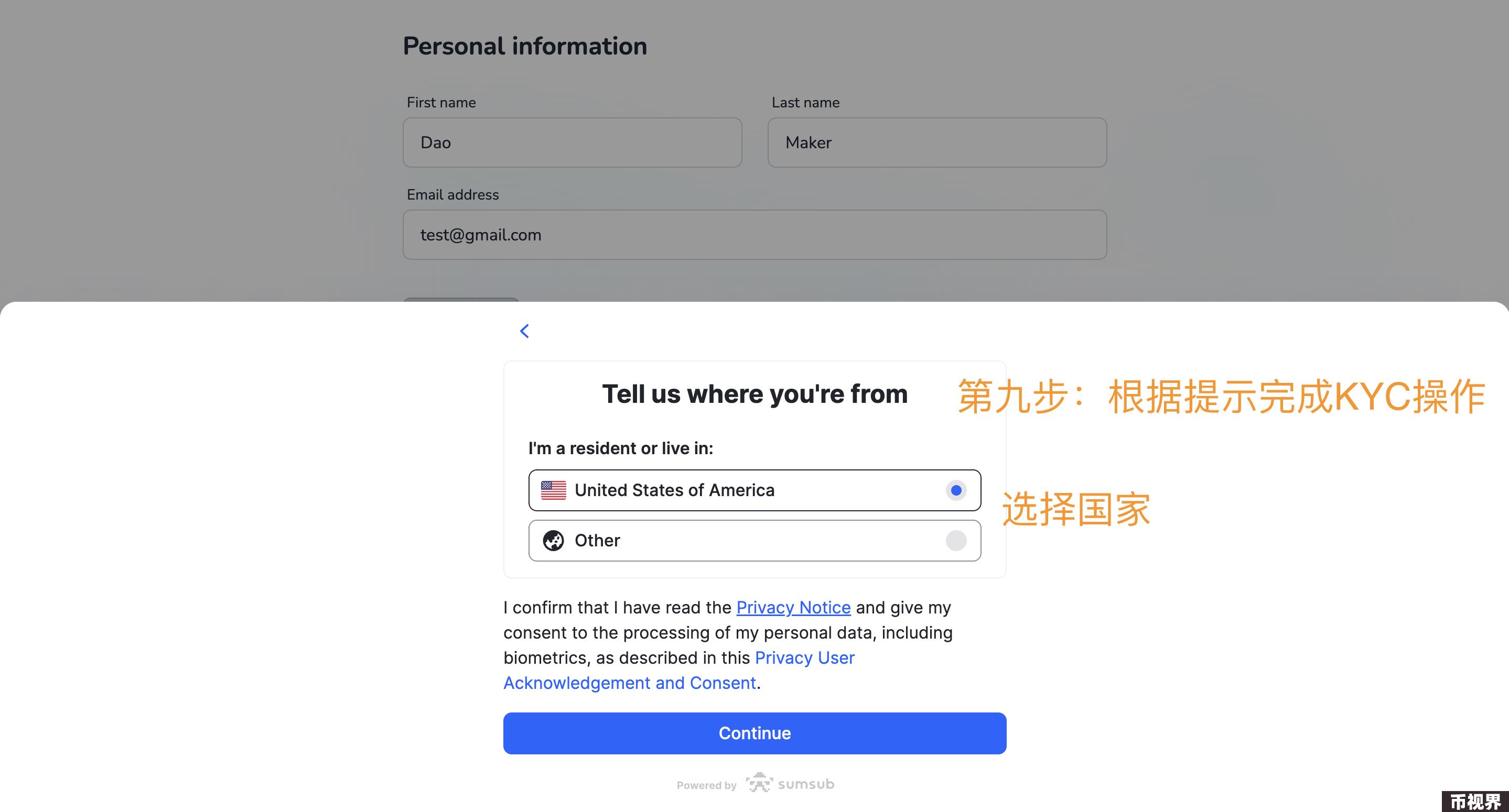 超详细攻略｜详解 DAO Maker 打新全流程与5倍额度新规则