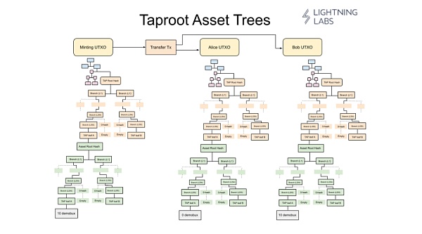 Taproot Assets：稳定币赛道超越万亿市值的下一个增长点