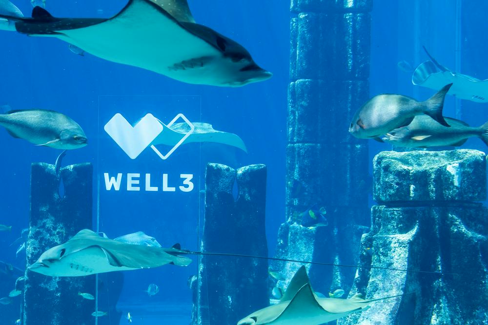 WELL3 与 Token2049 迪拜联手举办全球最大加密会议上的首个沉浸式健康聚会