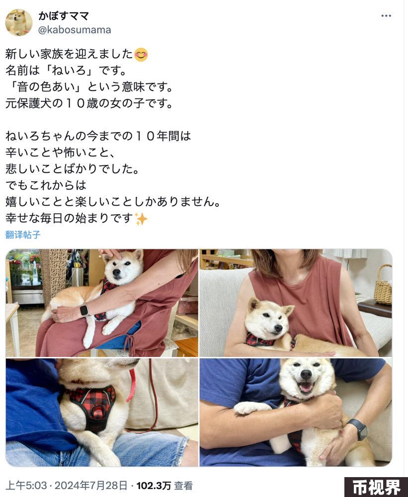DOGE原型主人新宠“Neiro”爆火：多个同名MEME获数亿资金参与，未经授权遭“抗议”