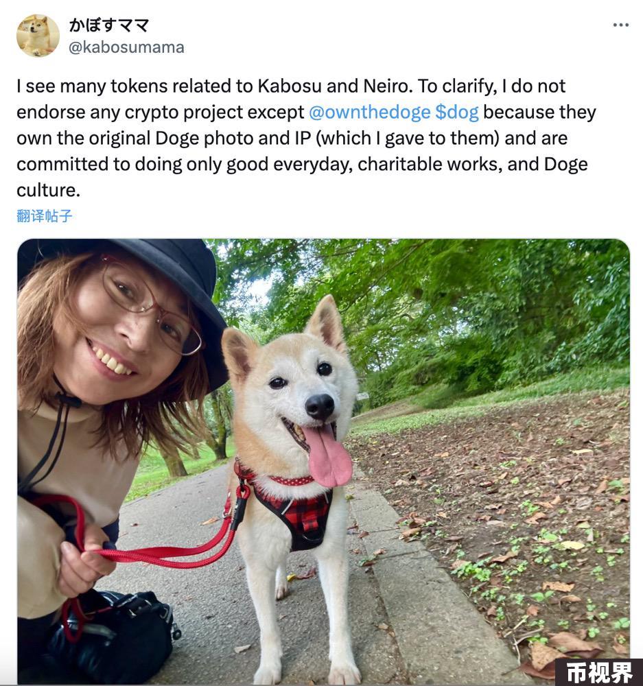 DOGE原型主人新宠“Neiro”爆火：多个同名MEME获数亿资金参与，未经授权遭“抗议”